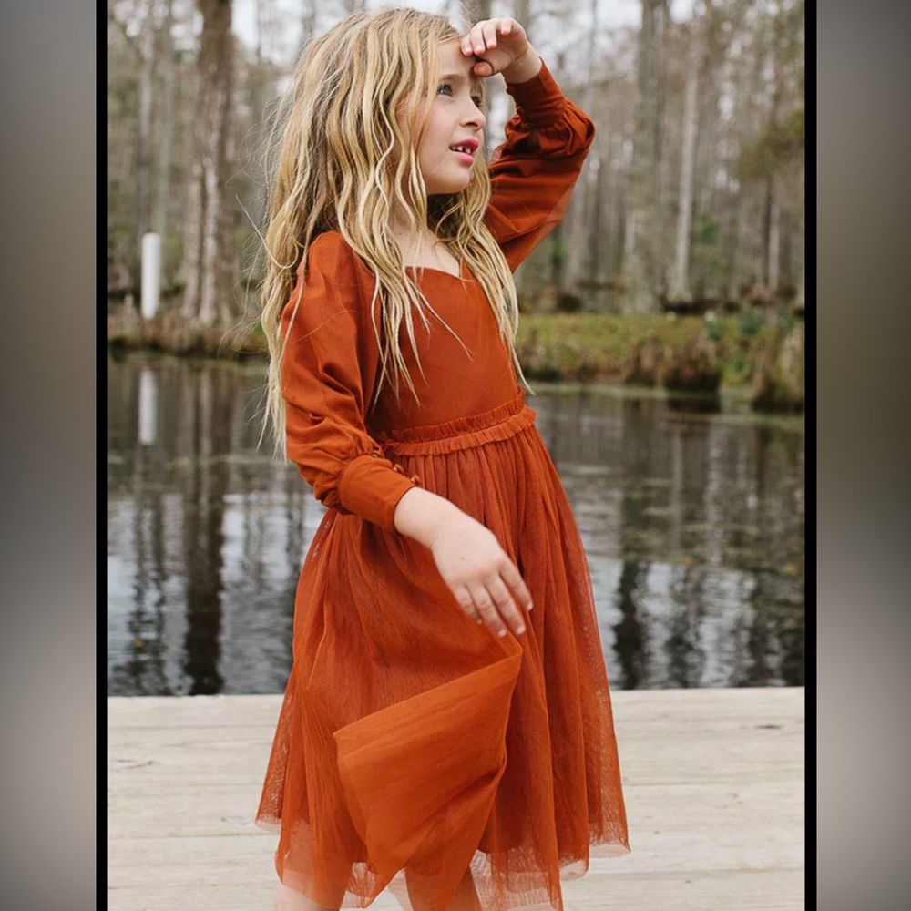 Ivy City Co mini Florence dress in rust size 12-18 months NWT